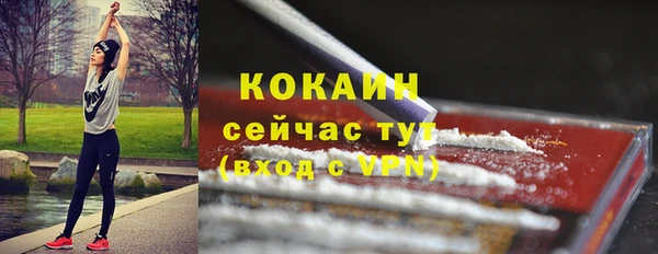 стафф Богородицк
